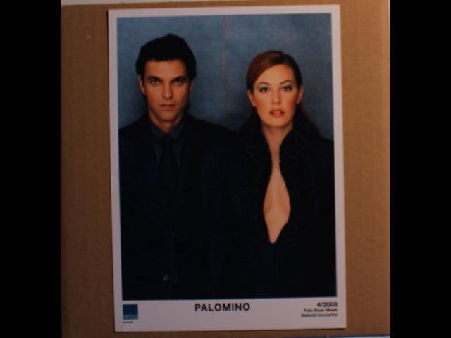 Palomino Original Fullcolour Promo Publishing Photo 4/2003 Synthpop Memorabilia