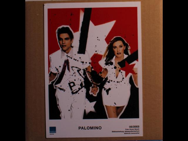Palomino Original Fullcolour Promo Publishing Photo 05/2003 Synthpop Memorabilia